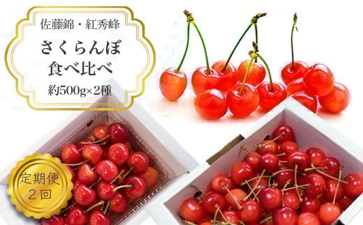 【2026年発送】【定期便2回】さくらんぼ約500g×2種_H176(R8)