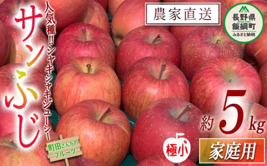 りんご サンふじ （極小） 家庭用 5kg 沖縄県への配送不可 2025年1月上旬頃から2025年2月上旬頃まで順次発送予定 町田さんちのりんご 長野県 飯綱町 [0615]