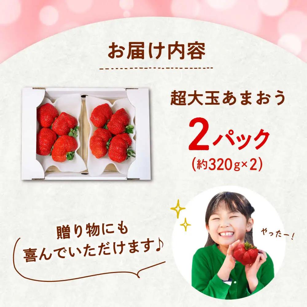 【2027年度先行予約】超大玉あまおう  約320g×2 [ADAT001] あまおう