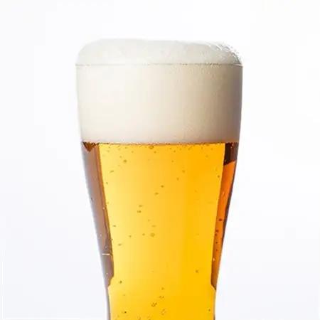 【与謝野町産ホップ使用クラフトビール】 ASOBI(アソビ) 350ml×12本　ペールエール_酒・アルコール 地ビール ビール _【1248906】