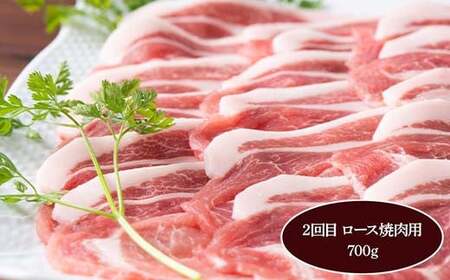 米澤豚一番育ち 満喫定期便 全5回 ブランド豚 豚肉 米沢 米沢豚 山形県 南陽市 1859