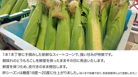 【 朝穫れ 当日出荷 】 訳あり スイートコーン 「 おおもの 」 約5kg 甘い 新鮮 皮付き トウモロコシ とうもろこし コーン 野菜 [DX008ci]