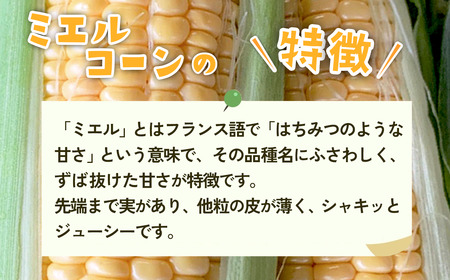【 訳あり 】下妻産 朝採り とうもろこし （ ミエルコーン ） 約6kg 【 とうもろこし とうきび トウモロコシ ジューシー 甘い 蜂蜜 はちみつ ミエル Miel スイーツ デザート ミエルコー