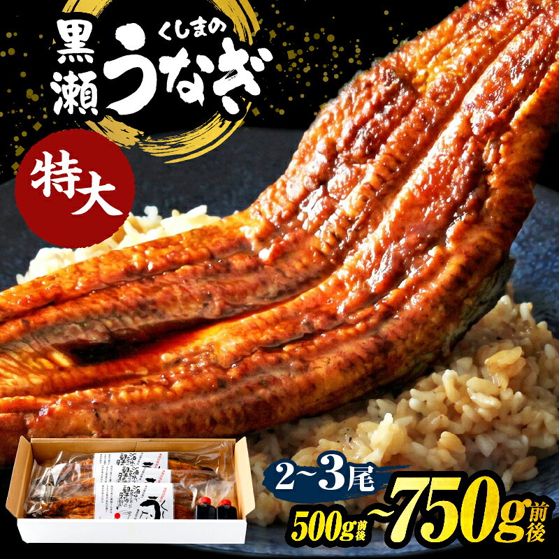 【ふるさと納税】【選べる内容量】特大くしまの黒潮うなぎ蒲焼（2尾or3尾）うなぎ 蒲焼 うなぎ蒲焼 国産 ギフト 丑の日 おすすめ ふるさと グルメ プレゼント 人気 グルメ おすそ分け お取り寄せ 惣菜 お惣菜 お祝い 簡単 小分け 宮崎 宮崎県 串間市 送料無料