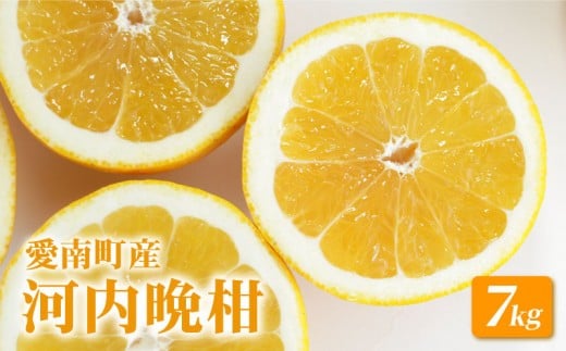 
                  【 先行予約 】 河内晩柑 7kg みかん 愛南ゴールド 和製 グレープフルーツ みかん 蜜柑 柑橘 柑橘類 フルーツ 果物 くだもの 食品 食べ物 お取り寄せ グルメ ジューシーフルーツ 美生柑 生食 ジュース ゼリー ジャム スムージー 旬 愛媛県 愛南町 山口農園
                