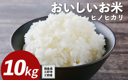 米 令和7年産 新米 10kg ヒノヒカリ こめ ご飯 ごはん 【 お米 】