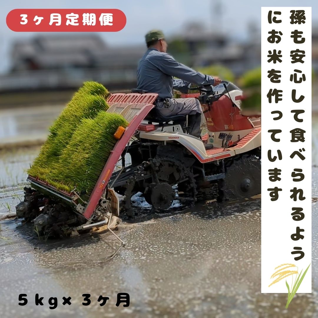 【ふるさと納税】【3回定期便】「ひのひかり」白米 玄米 可 5kg × 3ヶ月 連続でお届け 15kg 奈良県 三宅町 志埜米穀店 ヒノヒカリ 冷めてもおいしい もちもち 堆肥ミネラル栽培米