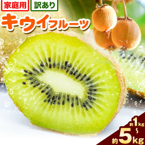 【ふるさと納税】先行予約 ご家庭用 キウイ フルーツ 約 1kg 2.5kg 5kg 各＋250g (傷み補償分) 池田鹿蔵農園@日高町（池田農園株式会社）《11月中旬〜4月末出荷》【配送不可地域あり】和歌山県 日高町 わけあり 訳あり 扁平果