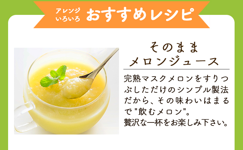 【3回定期便】完熟マスクメロンピューレ 120g×6袋 Wtn-0031