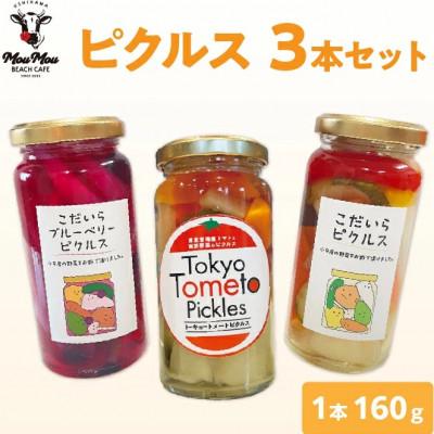 ふるさと納税 福生市 【西多摩の恵み、ぎゅっと瓶詰め。彩り豊かなごちそうピクルス】食べきりサイズ　ピクルス3本セット