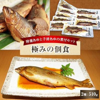 ふるさと納税 日高川町 「極みの個食」特選あゆと子持あゆの煮付セット
