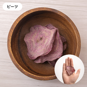 【3か月定期便】いぬのご褒美チップス20g×5袋 ペットフード 犬 無添加  おやつ 美味しい ご褒美 ドッグフード ドライ  犬用 いぬ用 愛犬用 R030-028