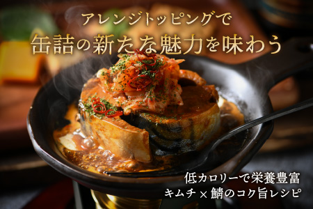 鯖味付缶詰 【唐辛子入】 12缶 鯖缶 おつまみ 保存食 [B-003017]