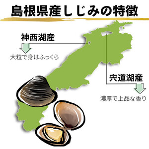 厳選 冷凍 しじみ 1kg (各500g×1袋) 宍道湖産 神西湖産 食べ比べセット）| しじみ