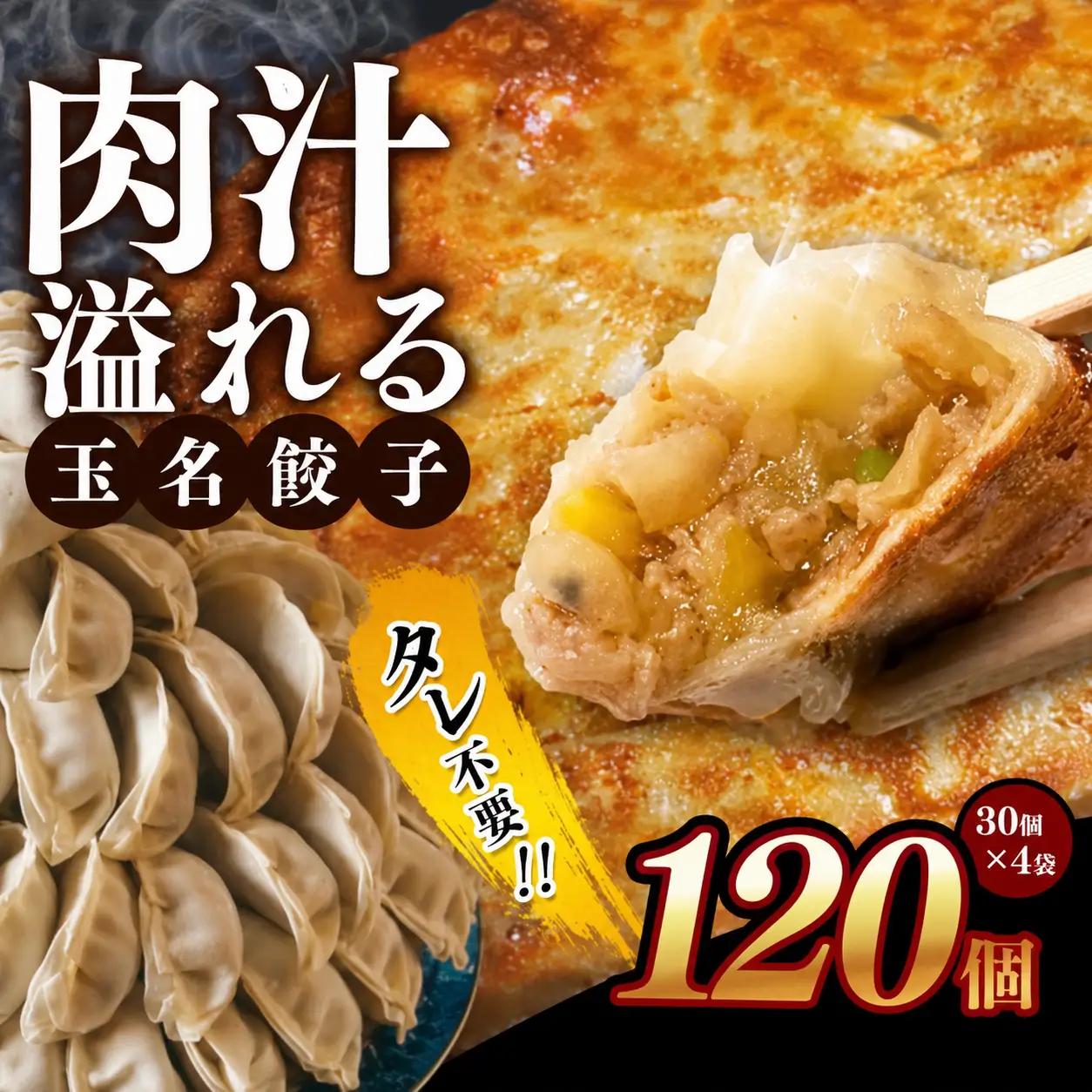 玉名餃子 120個 （30個×4袋）