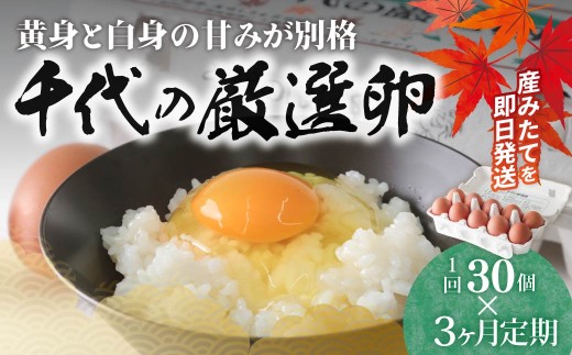 【3ヶ月定期便】卵 純国産鶏 朝どり 厳選卵 30個 割れ保証付き ｜こだわり 高評価 ブランド卵 リピート 希少 朝どり卵 即日発送 プレミアム ファン リピーター多い 濃厚 贈答 解放鶏舎 のびのび 最高の環境 おいしい水 日常 卵かけご飯 栄養価高い飼料 国産鶏 日本古来 こだわり 鮮度 安全 循環農業 群馬県 前橋市