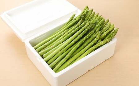 アスパラガス 800g 令和7年産 アスパラ アスパラ アスパラ アスパラ アスパラ アスパラ アスパラ JA001
