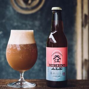 霞ヶ浦いちごエール 茨城県産 330ml×3本セット【配送不可地域：離島】【1613504】