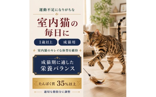 
                  ビューティープロ キャット 下部尿路の健康維持 1歳から 2.7kg ｘ4(ケース単位) キャットフード
                