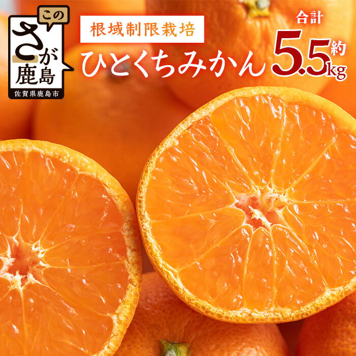 【ふるさと納税】「12月頃～12月末までのお届け」根域制限栽培一口みかん5.5kg | ふるさと納税 みかん ミカン 蜜柑 果物 フルーツ 果実 根域制限栽培 贈答用 お取り寄せ ギフト 国産 佐賀県産 佐賀県 鹿島市 ふるさと 人気 送料無料 A-178