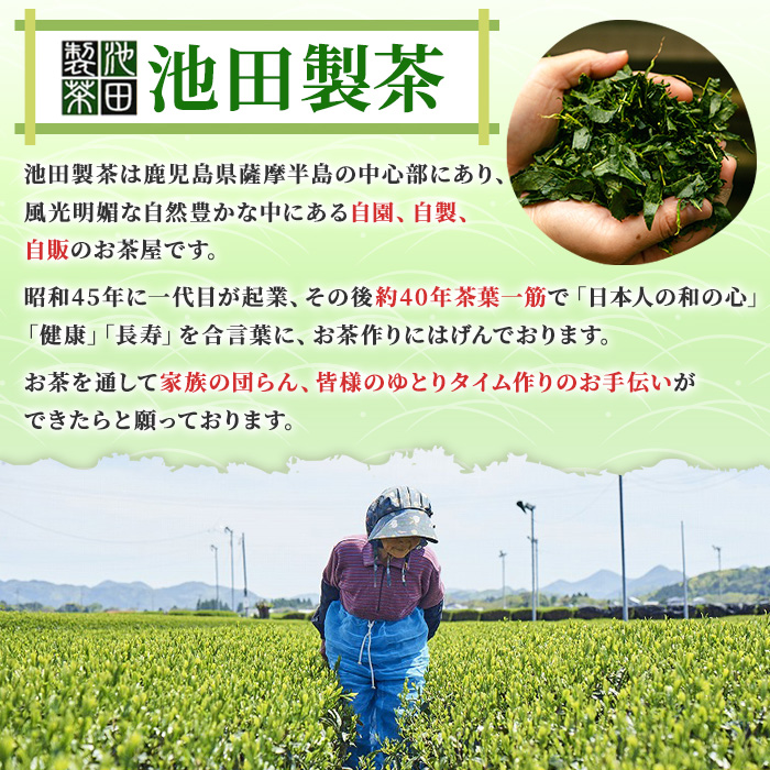 No.1332 日置の恵み茶ギフトセット(6袋) 鹿児島県産 日本茶 お茶 煎茶 かごしま茶 フレーバー 紅茶 茎茶 たんかん 緑茶 贈答 ギフト プレゼント 数量限定 常温保存【池田製茶】