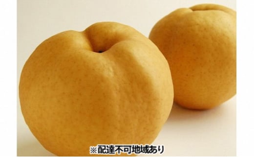 梨 早期受付 岡山 の あたご 梨 2～3玉（2kg以上） 合計2kg以上 なし ナシ 岡山県産 国産 フルーツ 果物 ギフト桃茂実苑 あたご梨 糖度12.5度以上 2キロ [№5735-1101]