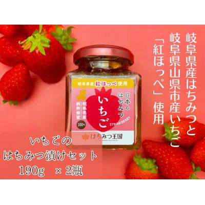 ふるさと納税 山県市 【まるごと岐阜県産】岐阜県産いちごはちみつ漬けセット 190g×2瓶<はちみつ王国>【岐阜県山県市】