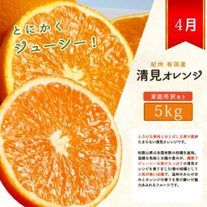 【発送月固定定期便】紀州和歌山産旬のご家庭用柑橘セット(みかん・不知火・せとか・清見)全4回【配送不可地域：離島】【4060326】