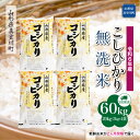 【ふるさと納税】令和6年産 真室川町 コシヒカリ ［無洗米］ 60kg 定期便（20kg×3回お届け）