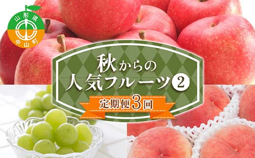 【定期便 3回】秋からの人気フルーツ定期便(2) 白桃 シャインマスカット ぶどう 葡萄 りんご サンふじりんご 果物 フルーツ 山形県 中山町 F4A-0448