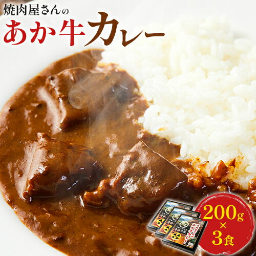【ふるさと納税】焼肉屋さんのあか牛カレー 600g (200g×3食) 白水乃蔵《30日以内に出荷予定(土日祝除く)》 あかうし 赤牛 あか牛 牛 カレー 南阿蘇村 肉