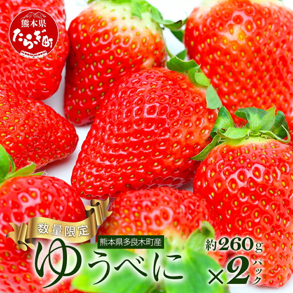 【ふるさと納税】熊本県産 いちご【ゆうべに】約260g×2パック 2026年1月～発送 坂下農園 産地直送 国産 新鮮 フレッシュ イチゴ 2パック 苺 フルーツ 果物 春 名産 熊本 多良木町 ビタミン 旬 いちご フルーツ 果物 くだもの 果実 熊本県 多良木町 送料無料