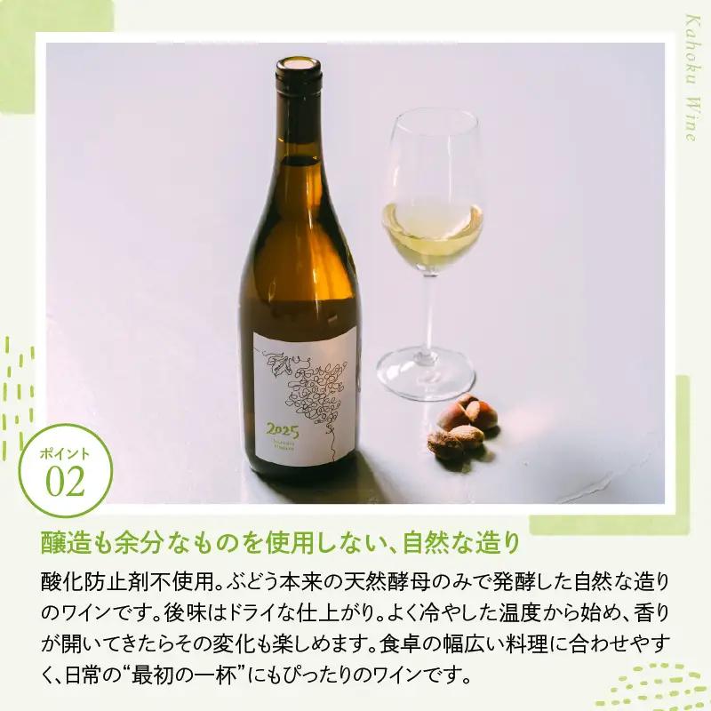 ワイン デラウェア ニアガラ 2025 750ml 河北町産 ワイン