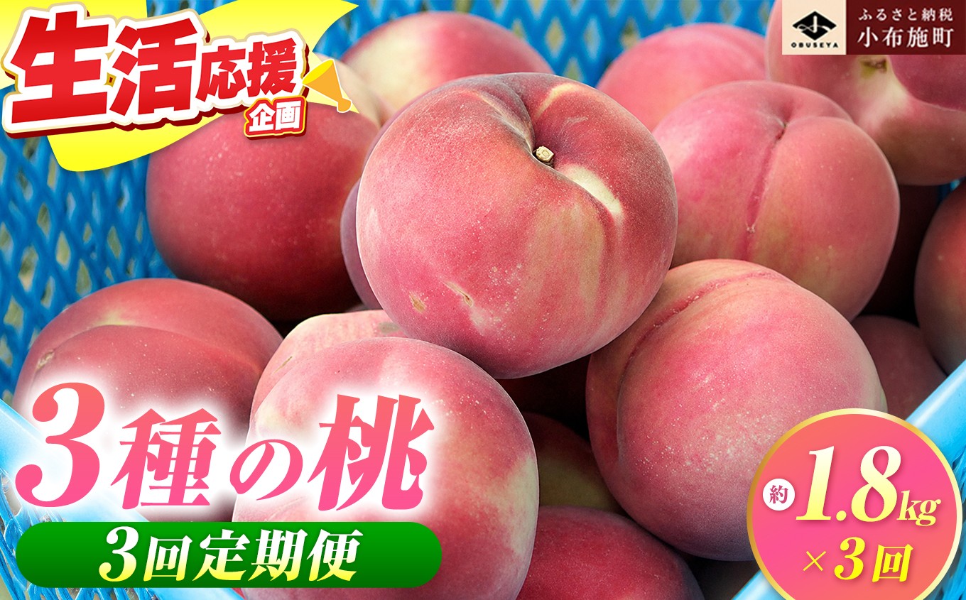 
                  【3回定期便】小布施屋の 桃食べ比べ定期便 約1.8kg×3回 ［小布施屋］ 桃 もも モモ フルーツ 果物 冷蔵便 クール便 長野県産 令和8年産【2026年7月末～9月上旬発送】[B-502]
                