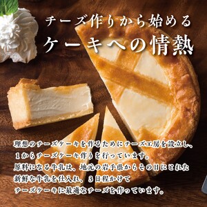 トロイカ の チーズケーキ / カットタイプ  （7号サイズ/ 12切）直径21cm（トロイカ）