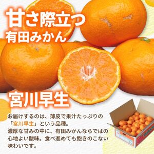 有田みかん 約5kg（小玉）（2S～S）　※2024年12月上旬〜2025年1月上旬頃順次発送予定 / 和歌山 有田 広川 小粒 ちっちゃい ちっちゃな 果物 くだもの ギフト※着日指定不可【ymk0