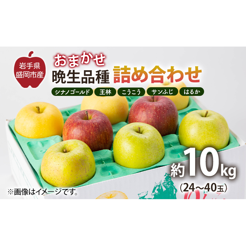 盛岡から「農で人をつなぐ」藤与果樹園：おまかせ晩生品種詰め合わせ（シナノゴールド、王林、こうこう、サンふじ、はるか、金星、ぐんま名月、シナノスイート等から２種以上）10kg フルーツ 果物 旬のフルーツ 旬の果物 旬 冬 岩手 盛岡 産地直送 玉数指定不可 詰め合わせ 岩手 盛岡