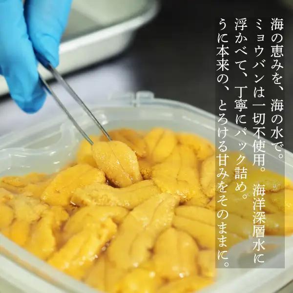 【2026年6月上旬から順次発送】【海洋深層水使用】北海道産 生うに 120g×5個 キタムラサキウニ 直送 旬 うに丼 海鮮 せたな町 ふるさと納税