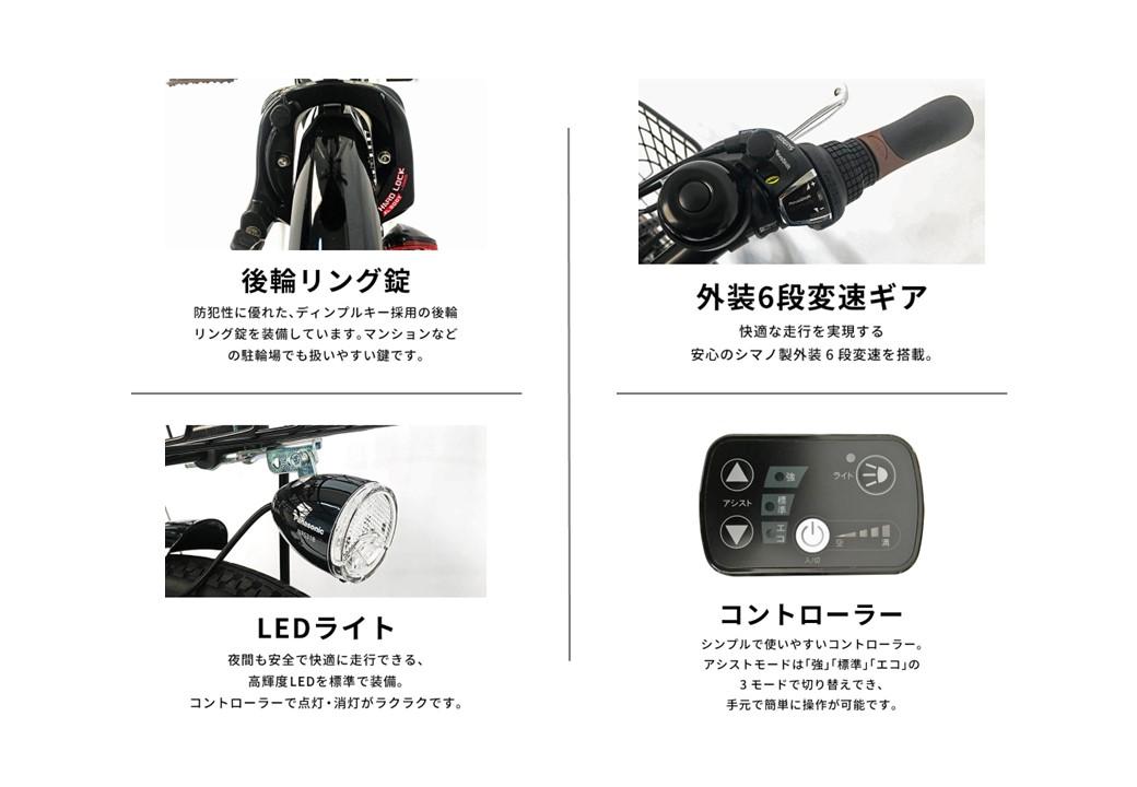 PELTECH（ペルテック）ノーパンク 折り畳み電動アシスト自転車 20インチ 折り畳み外装6段変速（TDN-208LN）【簡易組立必要】【ホワイトブラック】