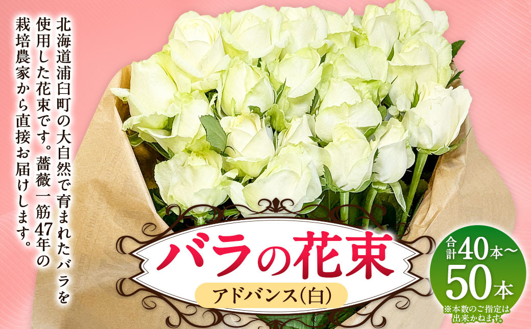 
            バラの花束 アドバンス（白）（40‐50本）| 花 バラ 薔薇 ローズ 生花 花束 ブーケ 白 贈り物 プレゼント ギフト【2025年5月下旬～11月下旬まで発送予定】
          