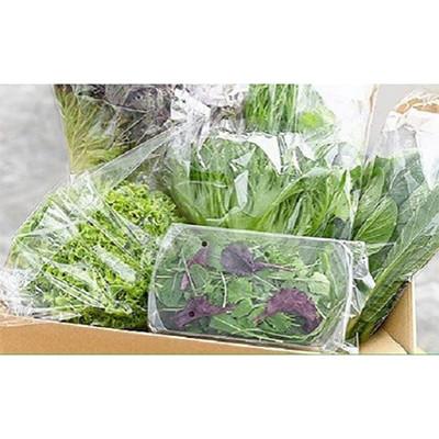 ふるさと納税 美濃加茂市 【発送月固定定期便】水耕栽培 新鮮 葉物野菜セット全3回