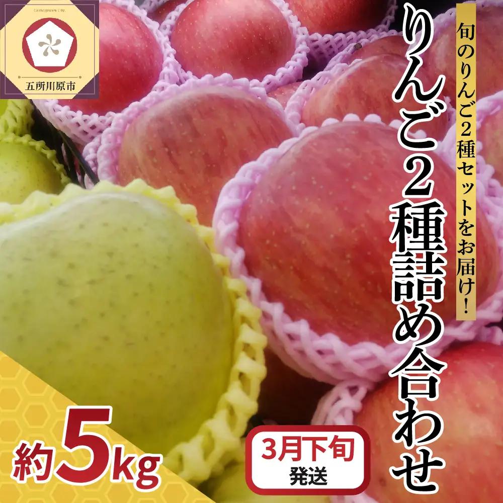 【2027年3月下旬発送】 りんご 5kg サンふじ 王林 他 紅白 詰め合わせ 青森 