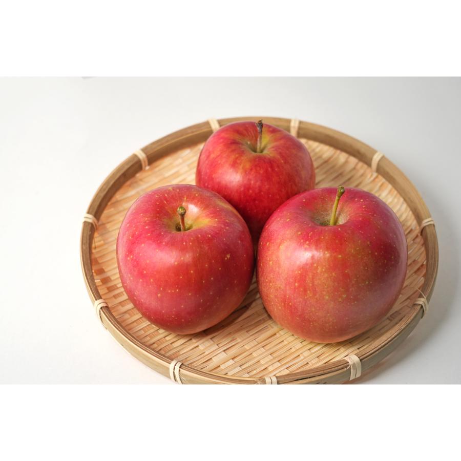 【2025年10月発送予定】平均糖度１２度以上　贈答用早生ふじ10kg