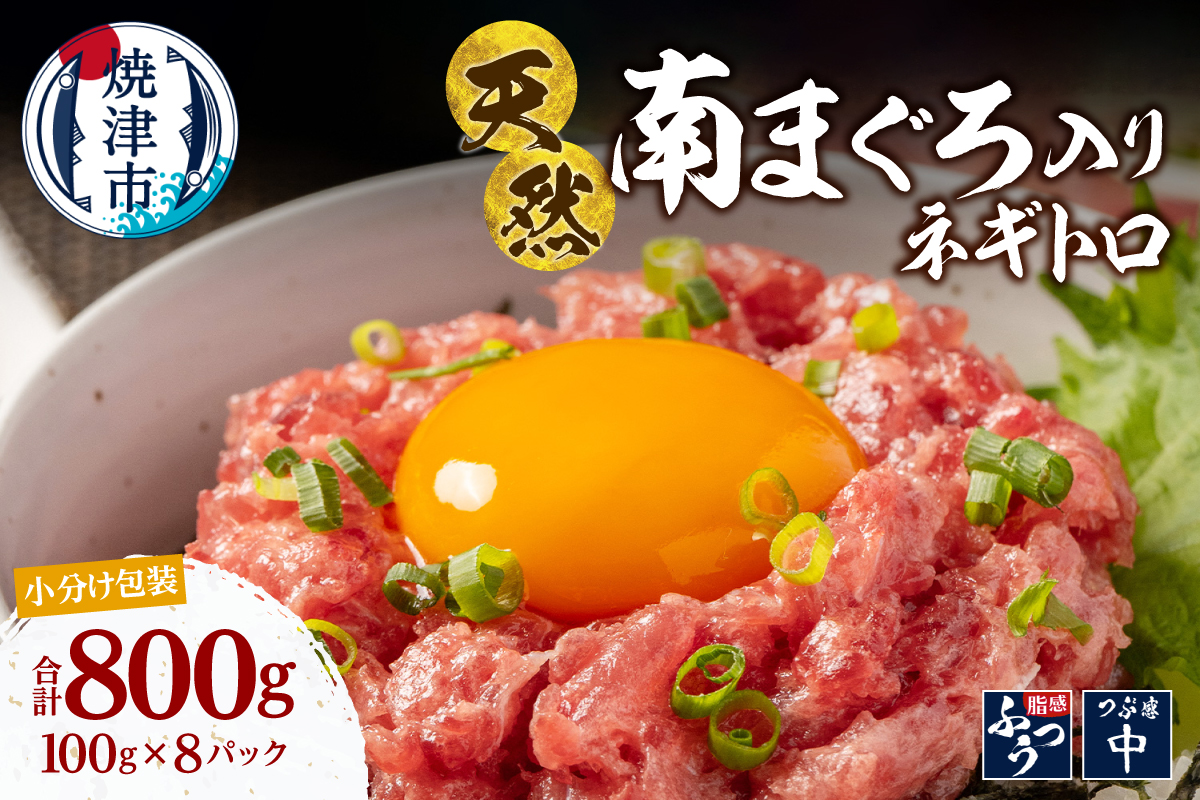 a13-135　ミナミマグロ入り マグロのたたき 100g 小分け パック セット 焼津 海の極 ネギトロ 天然 新鮮 冷凍 ねぎとろ 小分け 800g（100g× 8パック）