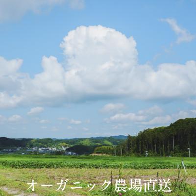 ふるさと納税 掛川市 【毎月定期便】しあわせ野菜畑のシェフLセット　(訳あり規格外の有機野菜を一部使用)全12回 |  | 01