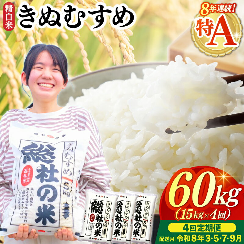 【ふるさと納税】特Aきぬむすめ 米 令和7年産 白米 60kg 定期便（15kg×4回）岡山県産 総社市〔令和8年3月・5月・7月・9月配送〕25-120-011