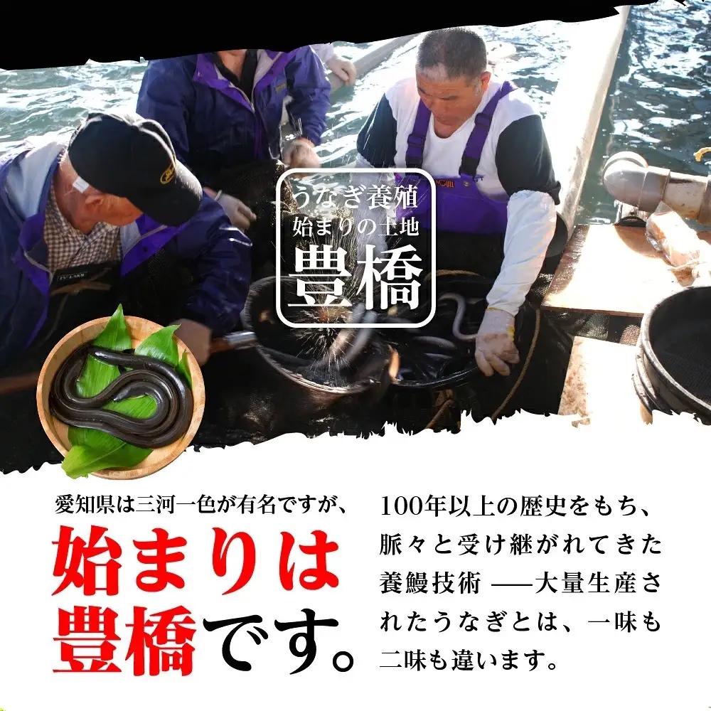 うなぎ 紅白3尾 国産 うなぎ 夏目商店