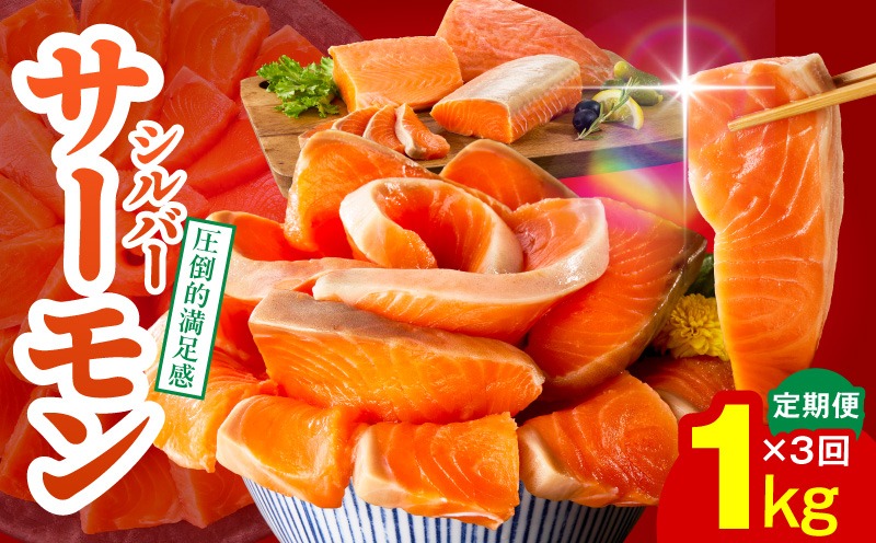 099Z346 サーモン 定期便 1kg×全3回【ポーション 訳あり サイズ不揃い 刺身 海鮮丼 さーもん サラダ カルパッチョ 鮭 さけ シャケ しゃけ 人気 小分け 冷凍 家計応援】