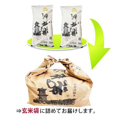 ふるさと納税 川越市 河越米10kg |  | 01