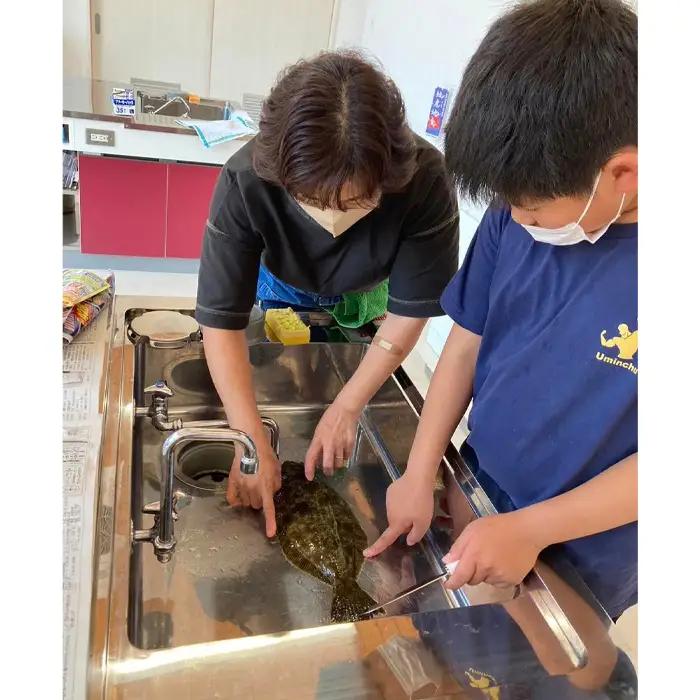 地元漁師の奥様直伝！「魚さばき体験」 ／ 笠戸ひらめ さかな 捌き方 山口県 No.171